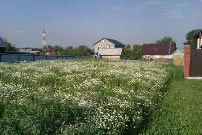 Продам участок в д. Киселёво Продам участок в д. Киселёво